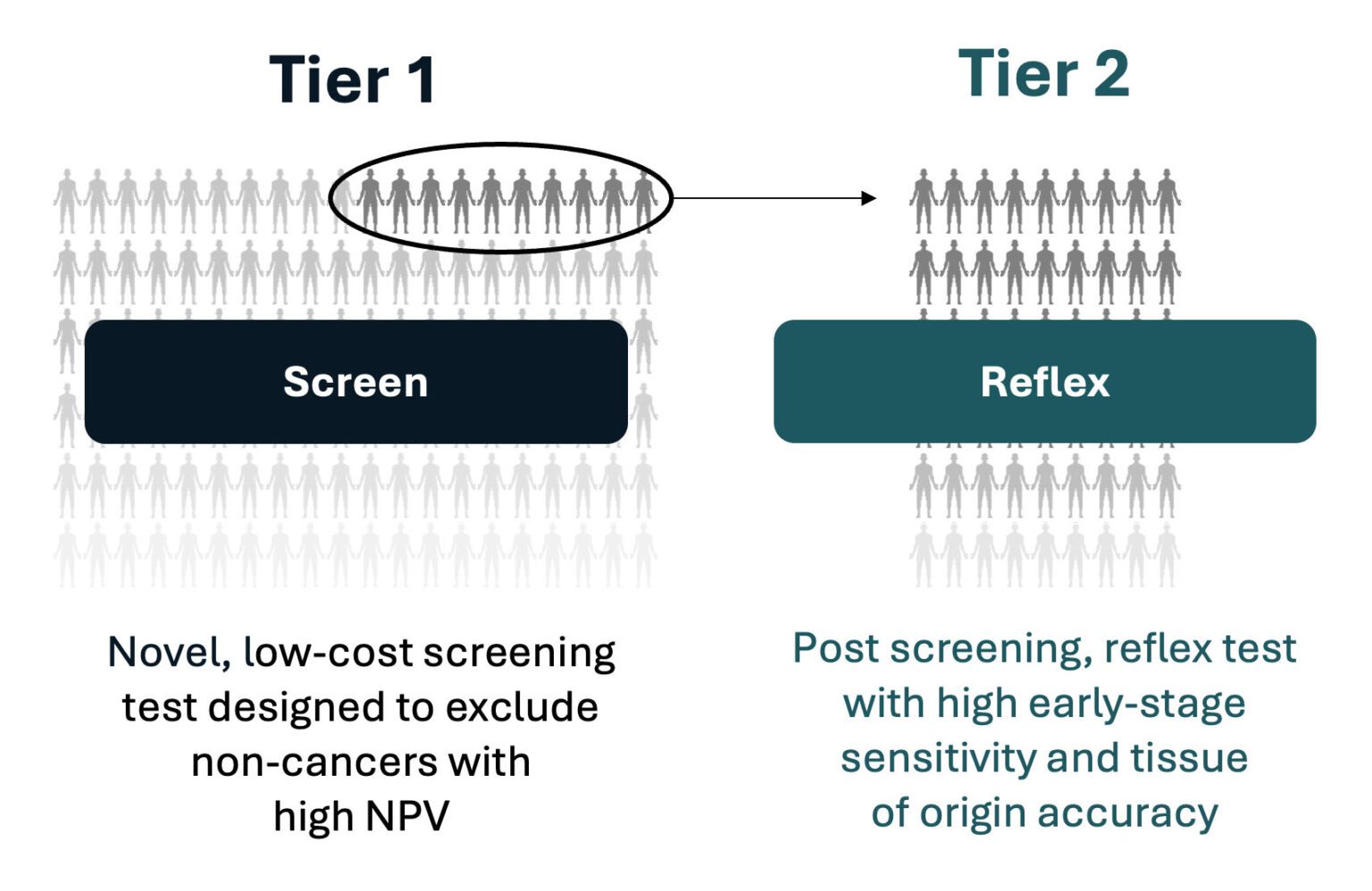 Infographic showing differences between Tier 1 and Teir 2